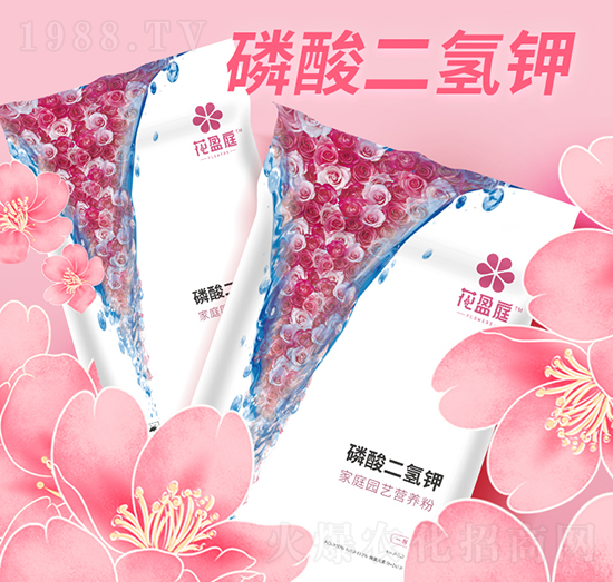 ��������-�A������