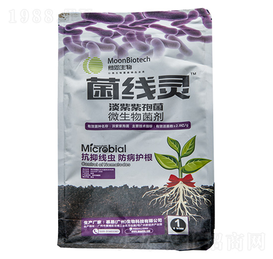 淡紫紫孢菌-菌線靈-鑫天蘭農(nóng)業(yè)