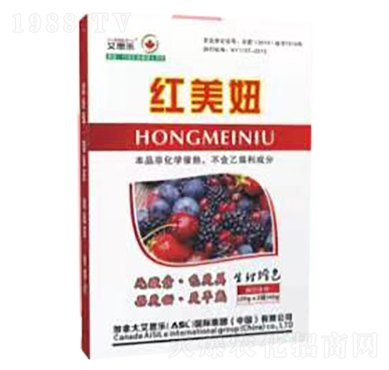 紅美妞-艾思樂(lè)