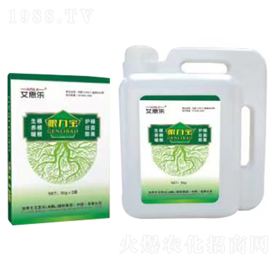 ������-��˼��