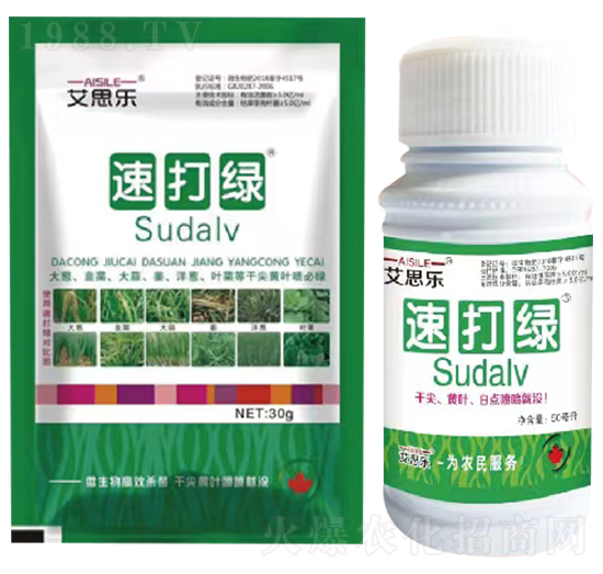 速打綠-艾思樂(lè)