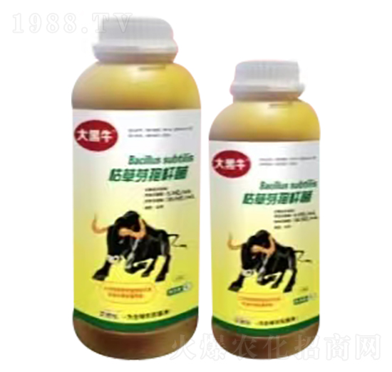枯草芽孢桿菌-大黑牛-艾思樂(lè)