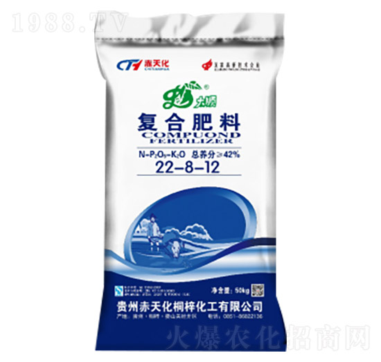 ���ȏ�(f��)�Ϸ���22-8-12-���컯