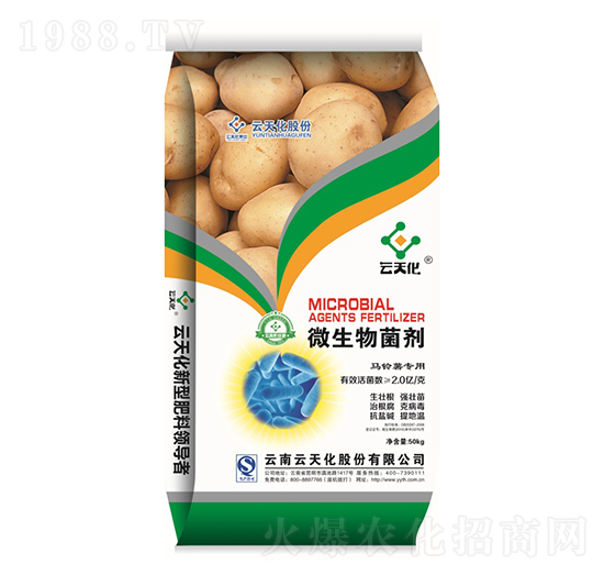 馬鈴薯專用微生物菌劑-世紀(jì)云天