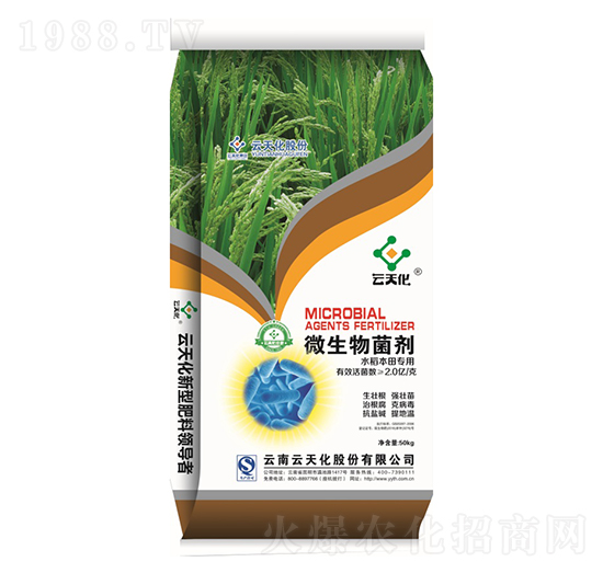 水稻本田專用微生物菌劑-世紀(jì)云天