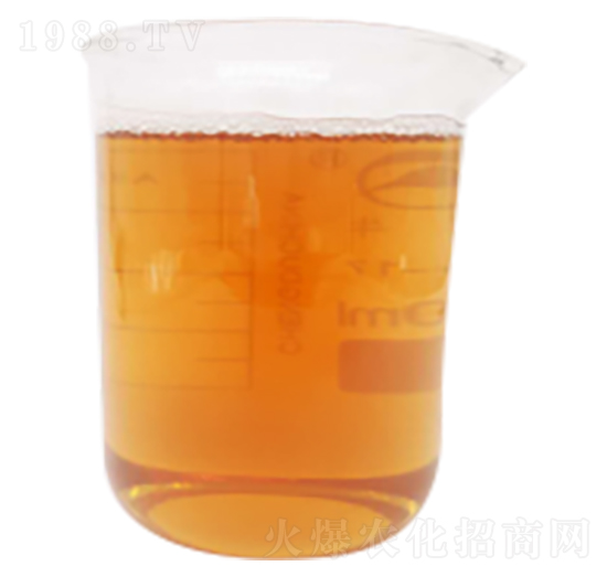 ø�ⰱ���������\-�����Ƽ�