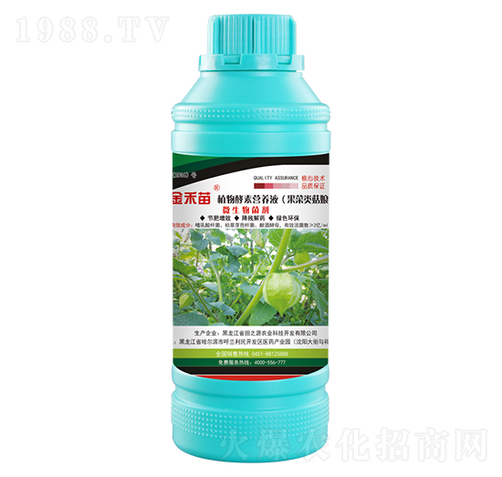 果菜類(lèi)菇娘專(zhuān)用植物酵素營(yíng)養(yǎng)液-金禾苗-田之源