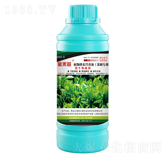 茶樹(shù)專用植物酵素營(yíng)養(yǎng)液-金禾苗-田之源