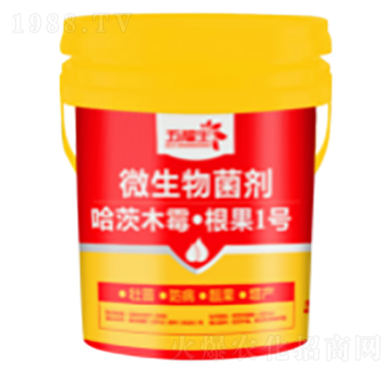 ΢�������-����1̖-�帣��