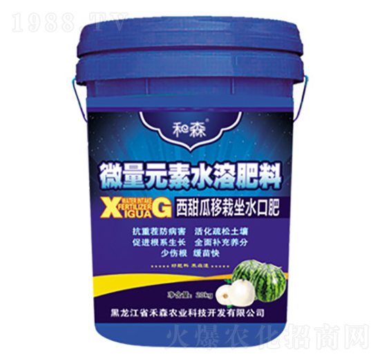 西甜瓜移栽坐水口肥-禾森農(nóng)業(yè)