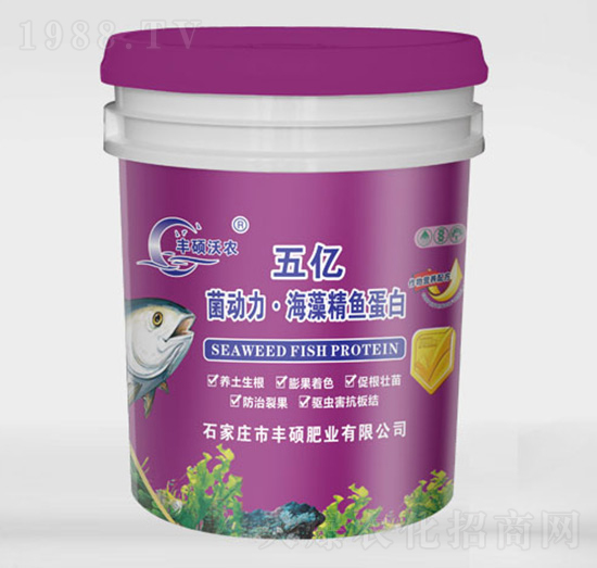 ��|����(d��ng)�������徫�~(y��)����-�S�T���r(n��ng)