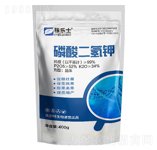 ��������-�ژ�(l��)ʿ-�֠���