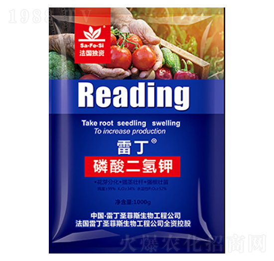 �׶���������-ʥ��˹