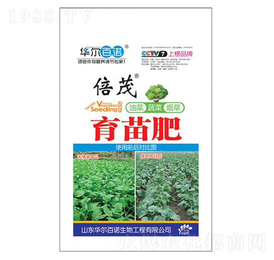 �Ͳ��߲˟��݌�(zhu��n)�������-�A�����Z