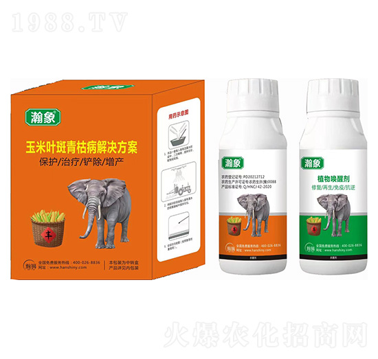 �����~����ݲ���Q����-���-嫪{