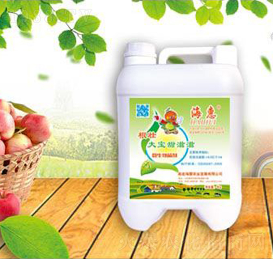 ���Ѵ�������΢�������-����