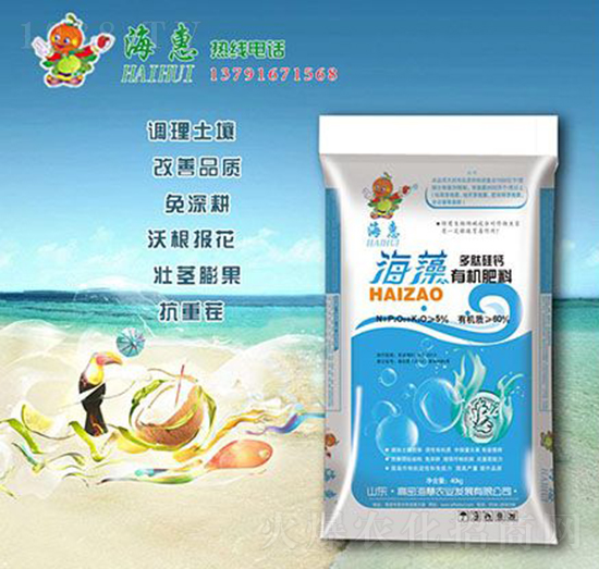 ������Ĺ��}�ЙC����-����