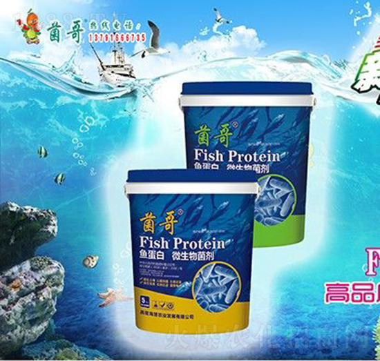 �~����΢�������-����