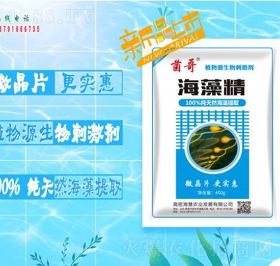 ���徫-����