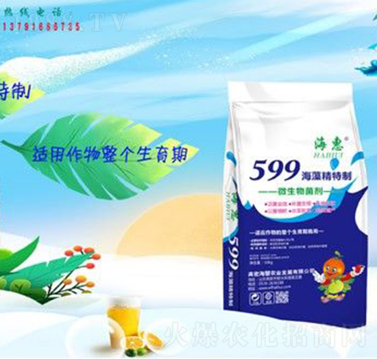 599���徫����-����