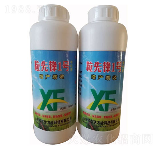 粒先鋒1號-億輝達