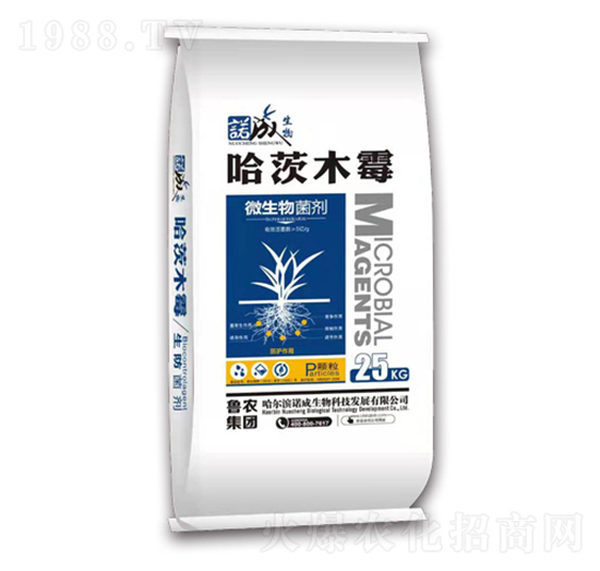 ����ľù-���r���F