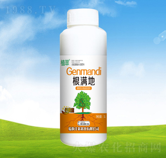 ���M��-ֲ��-�S�r�r��