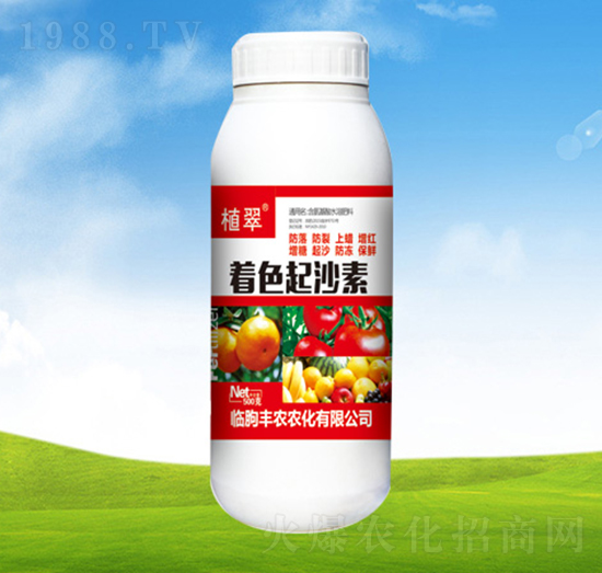 ��ɫ��ɳ��-ֲ��-�S�r�r��