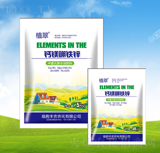 �}�V���F�\������-ֲ��-�S�r�r��