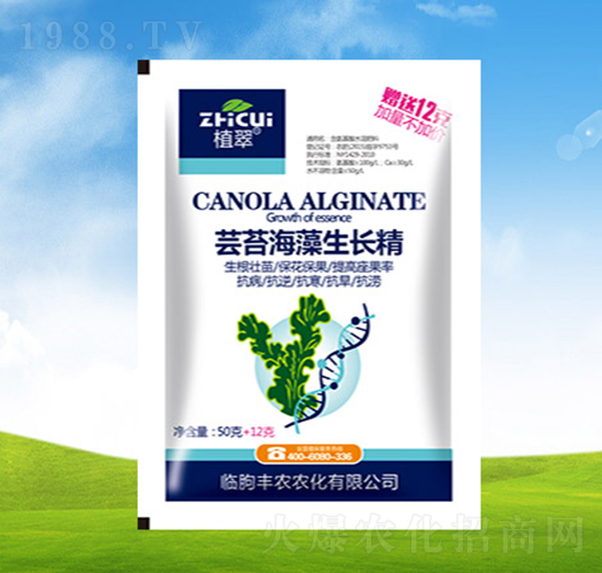 �|̦�������L��-ֲ��-�S�r�r��