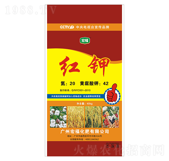 �t�-�������