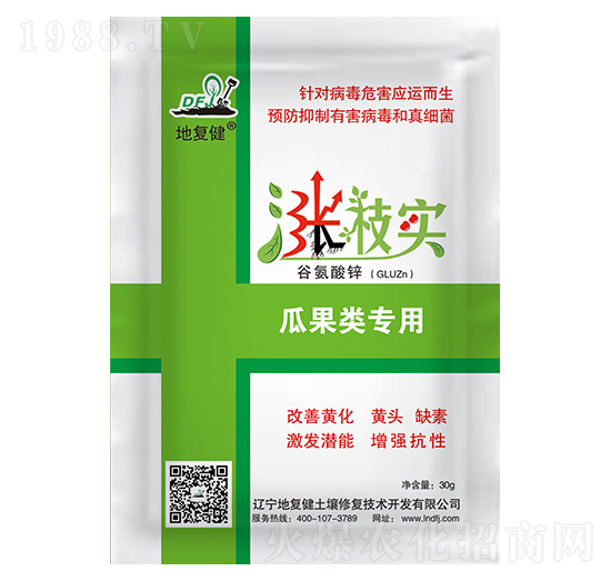 �Ϲ�����~���-�q�䌍-�؏�(f��)��