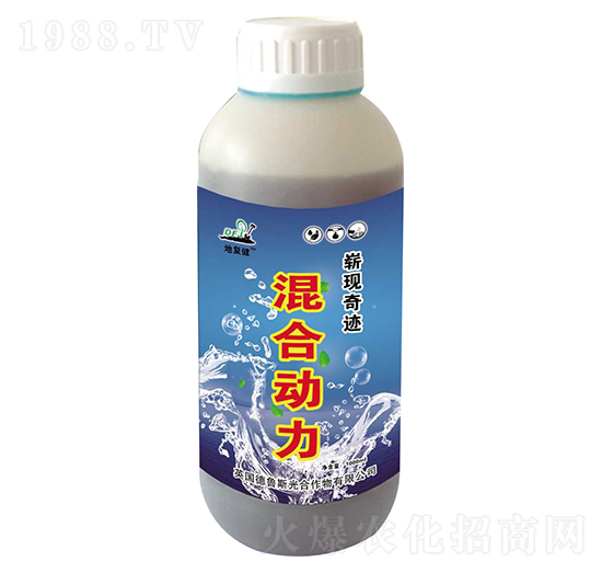 ��τ���-�؏ͽ�