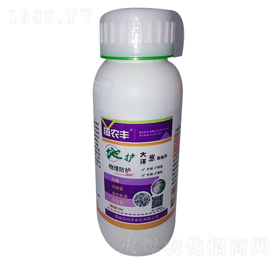 植農(nóng)豐大洋蔥根蛆凈-恒豐農(nóng)化