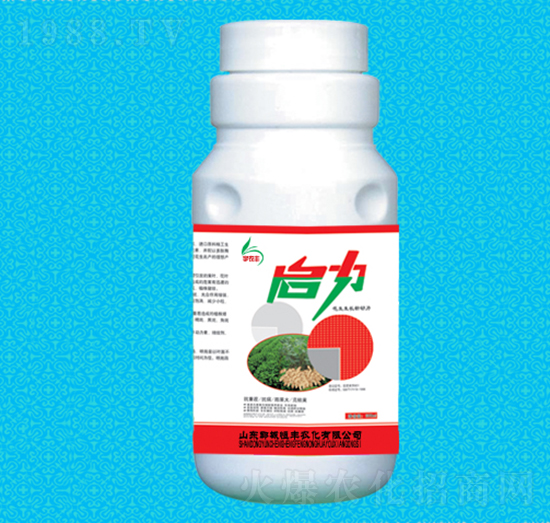 啟力花生專用肥-恒豐農(nóng)化