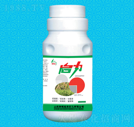 啟力水稻專用葉面肥-恒豐農(nóng)化