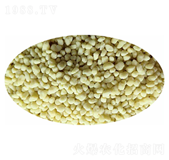 ���򵪷ʣ��S��-���r(n��ng)�r(n��ng)�I(y��)