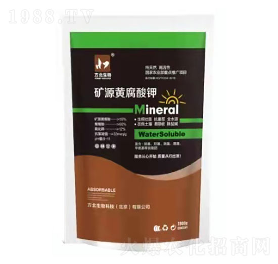 �VԴ�S�����-��������