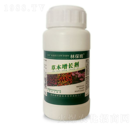 �ݱ����L(zh��ng)��-�ֱ�ķ-�T�ַ���