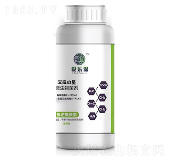 �������|(zh��)��΢�������-�ۘ���-�����