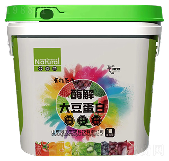 ø��󶹵���-�Z������