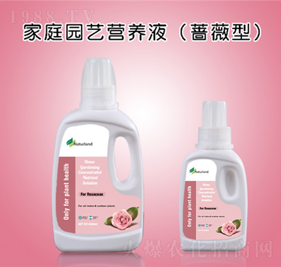 ��ͥ�@ˇ�I�B(y��ng)Һ���Nޱ�ͣ�-�{��