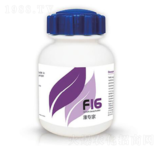 ������-�{��