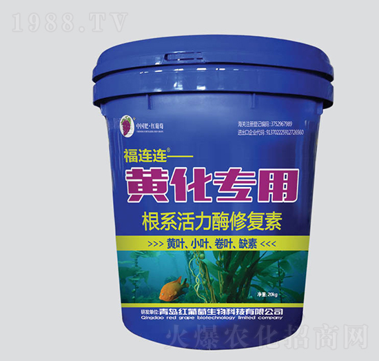 黃化專用根系活力酶修復(fù)素-福連連-紅葡萄