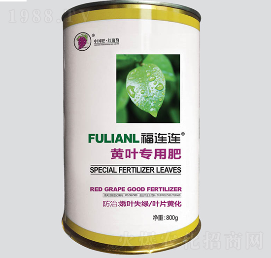 福連連黃葉專(zhuān)用-紅葡萄