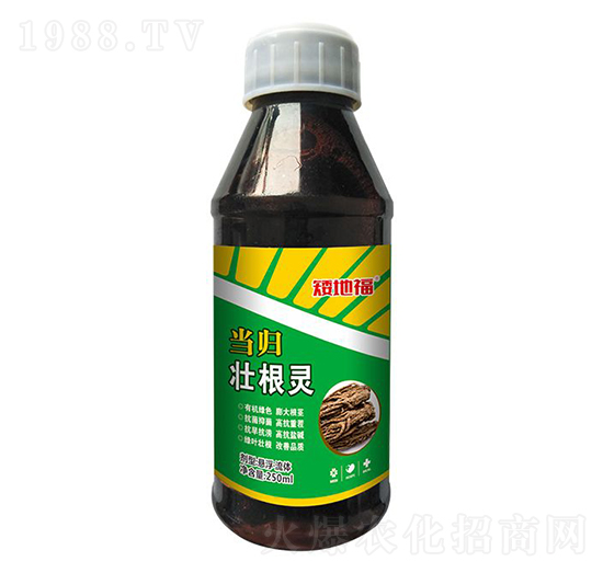 當(dāng)歸壯根靈-浩達生物