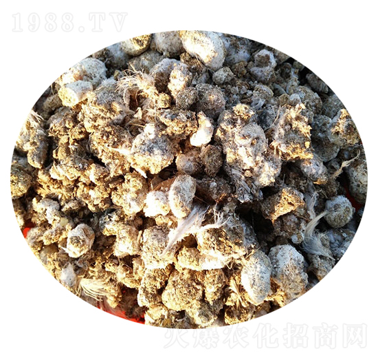 �g���S-�T������