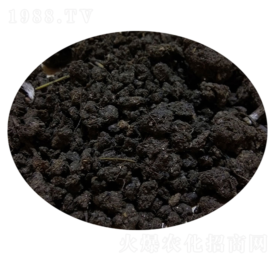 ����S��-�T������