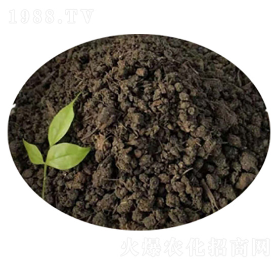 �w����S-ʥ������