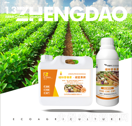 ���o����ֲ��I�B(y��ng)��-��������